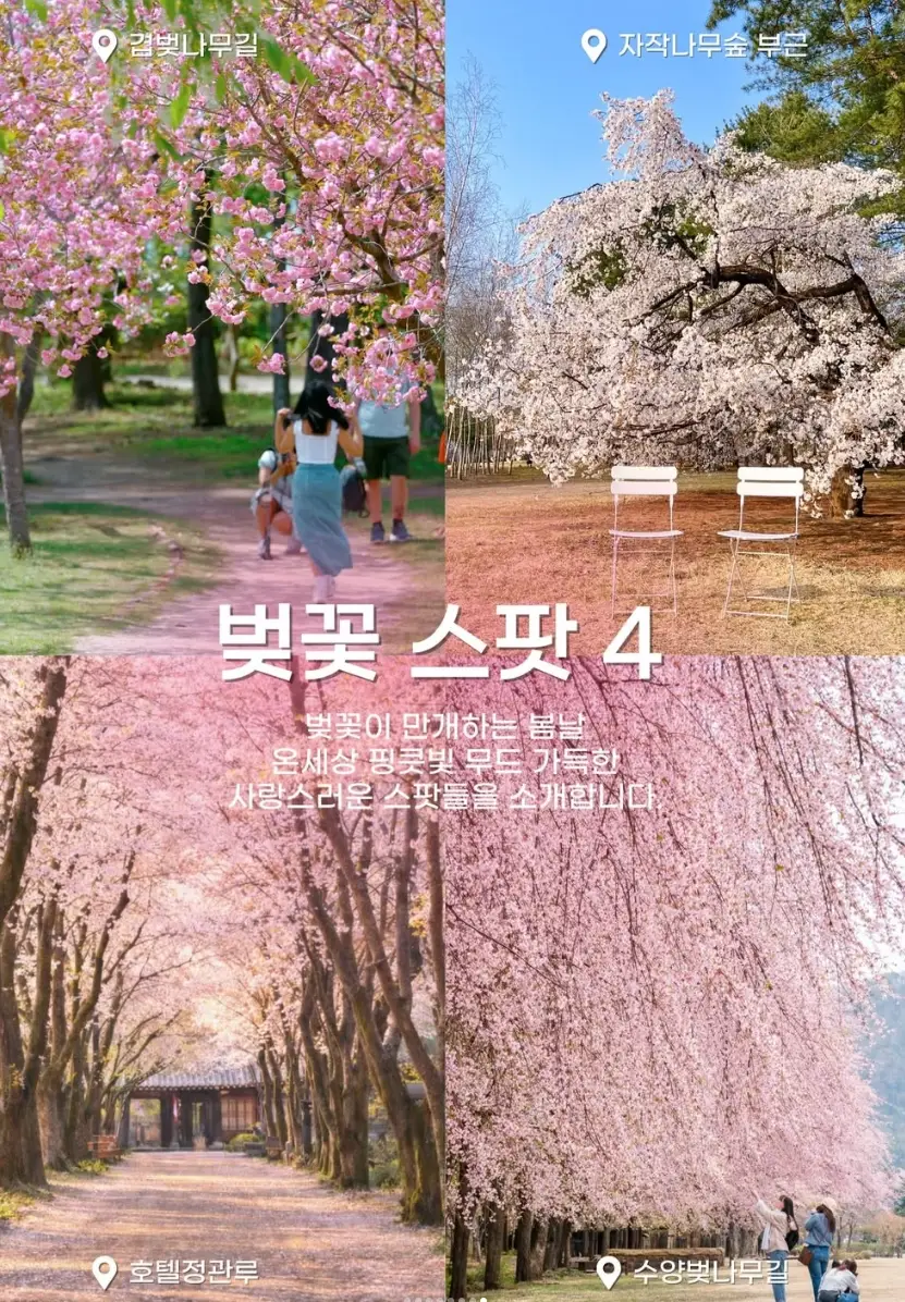 남이섬-입장료-선박-운항-시간-선착장