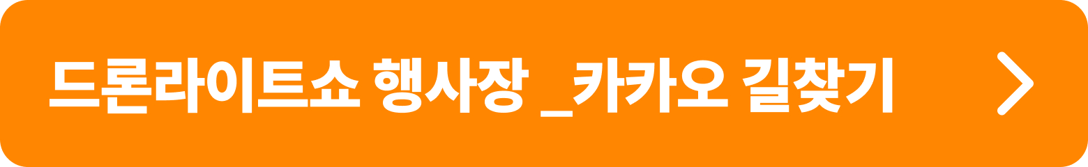 드론라이트쇼 _ 카카오 길찾기