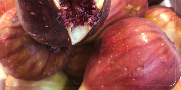 무화과의 효능과 항산화1