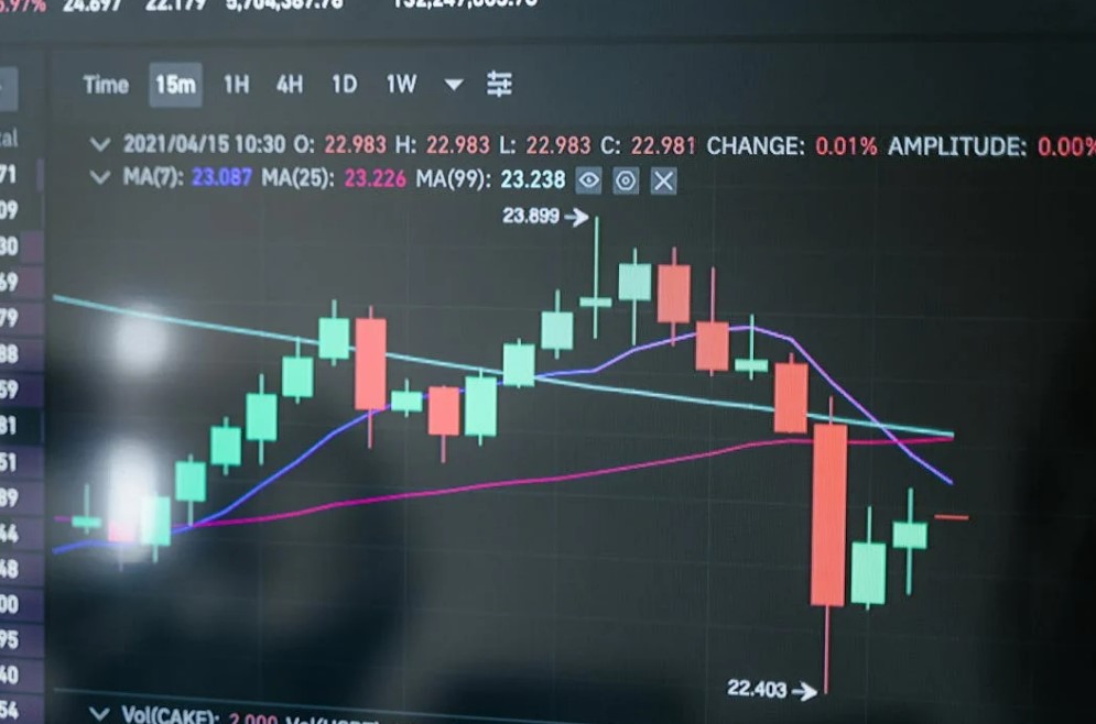 이뮨온시아 주식, 지금이 매수 타이밍일까 임상현황부터 투자리스크까지 정밀 분석
