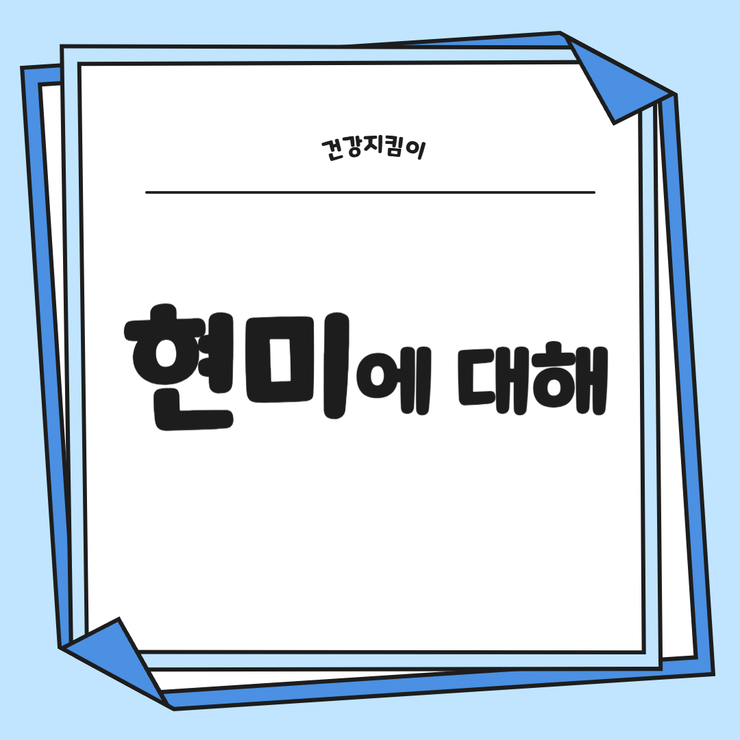 현미 효능과 부작용 영양성분 칼로리 다이어트