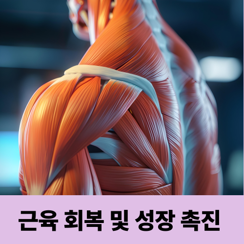 운동 효과 2배