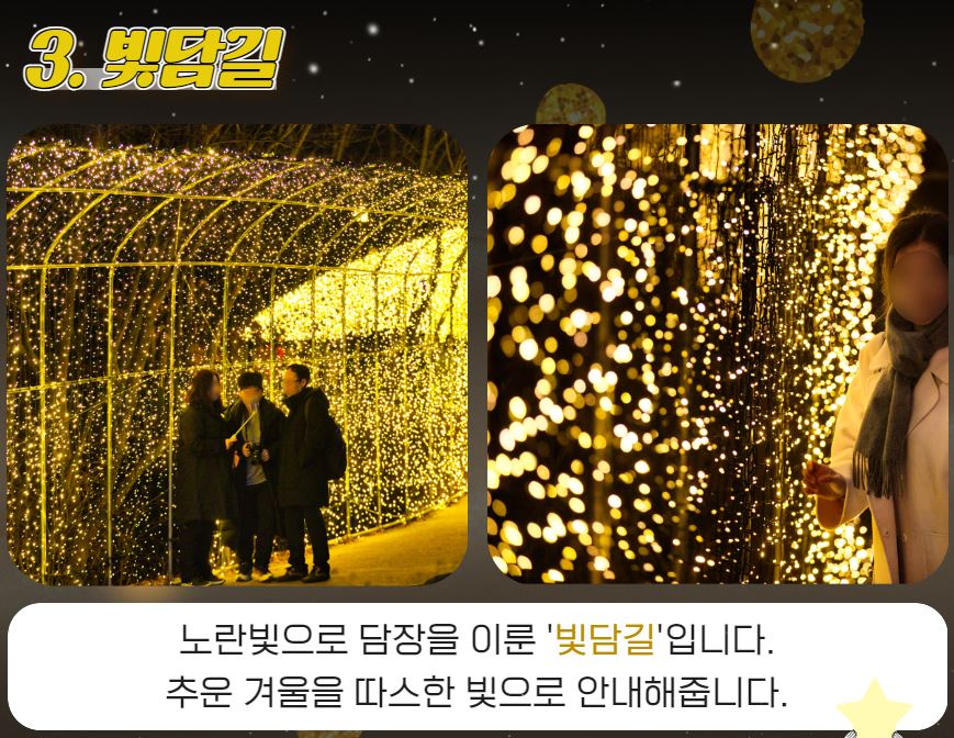 아침고요수목원 오색별빛정원전 가평 가볼만한곳