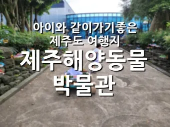 제주 아이와 함께 가기 좋은 체험형 여행지 추천_5