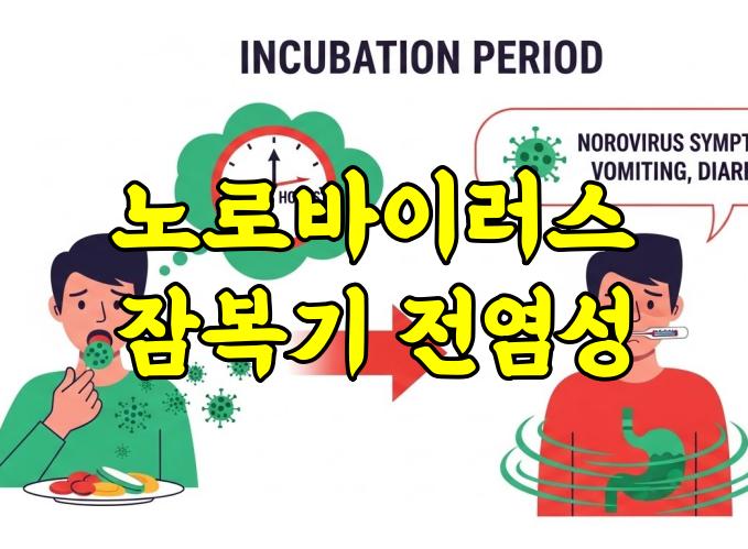노로바이러스 잠복기 전염성|증상 전에도 감염될 수 있을까