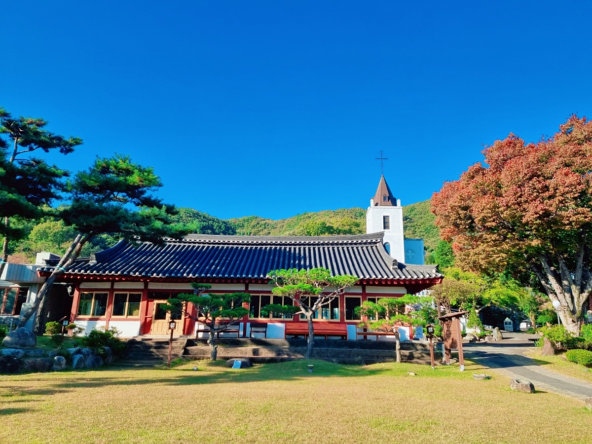 경남 진주 가볼만한 3대 맛집 '진주냉면 산홍': 산삼 주는 냉면, 육전 후기
