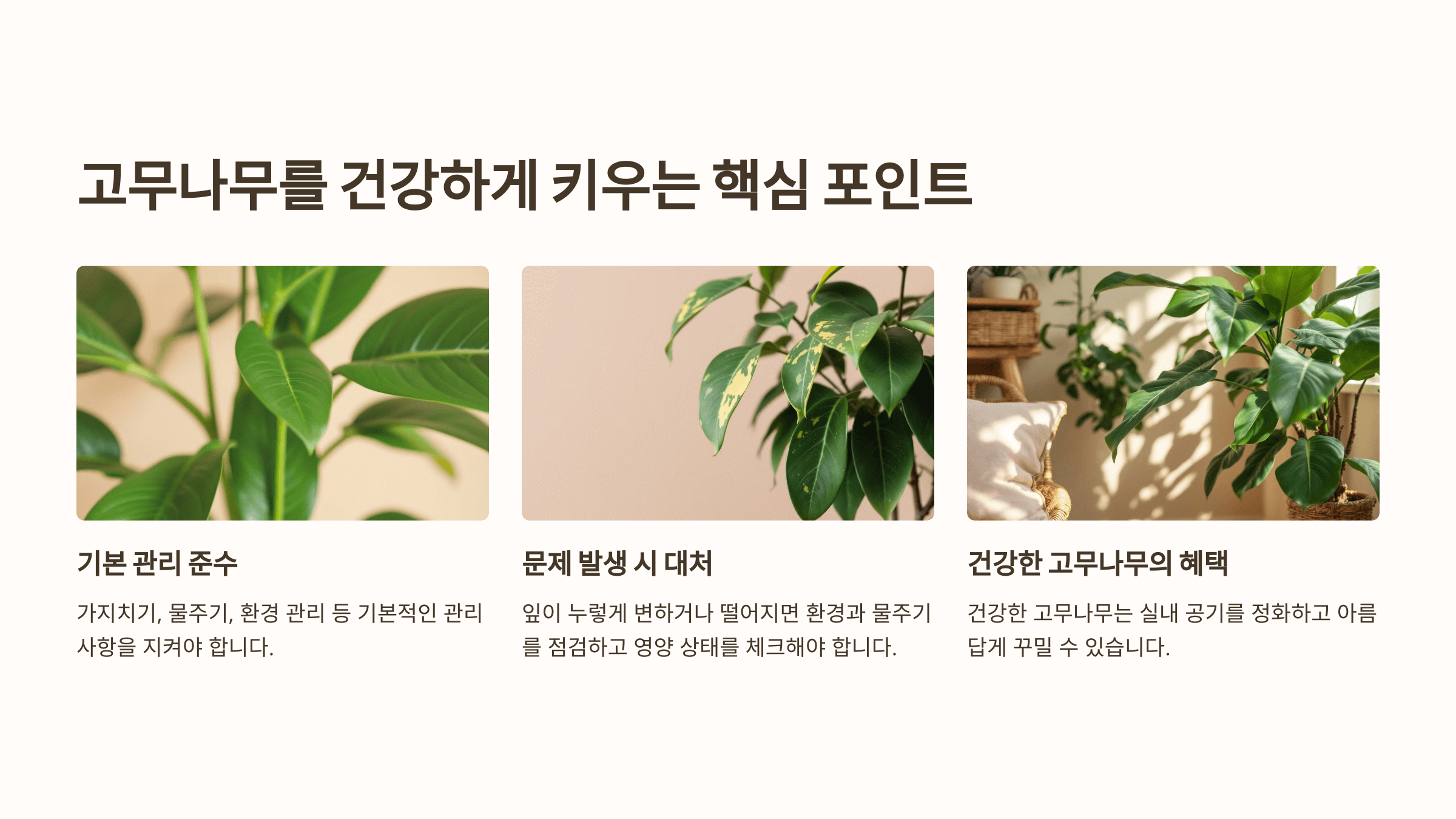 고무나무와 관련된 사진입니다.