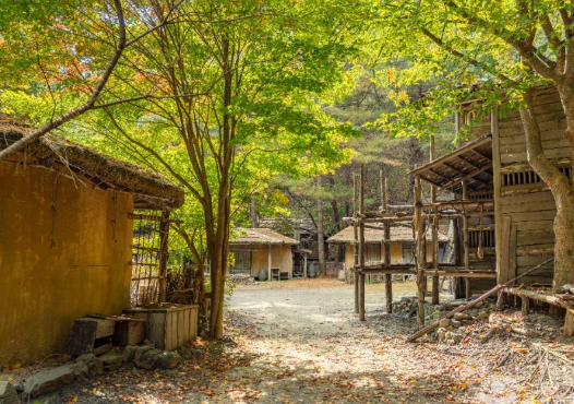 왕과 사는 남자