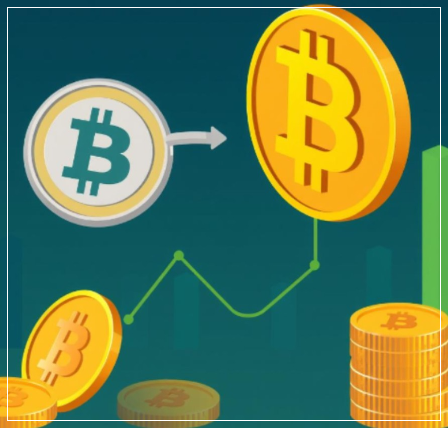 크립토 투자 사진