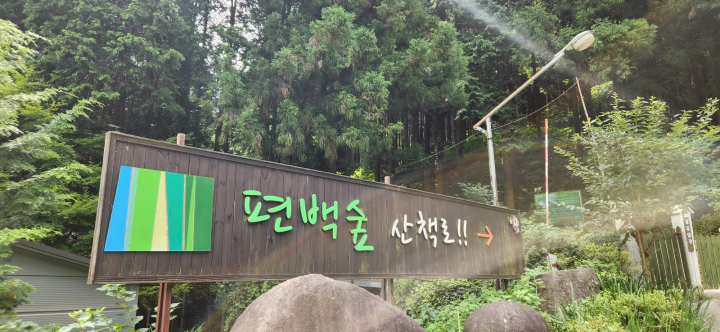 무등산 편백자연휴양림(화순) 편백숲 산책로 입구