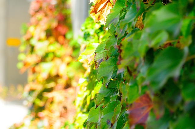 2025년 부산 장마기간