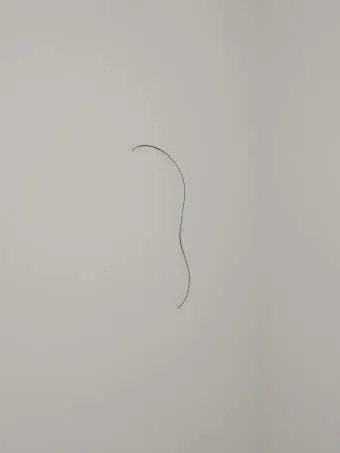 머리카락 굵게 만드는 방법 8가지와 두피관리 팁 안내_25