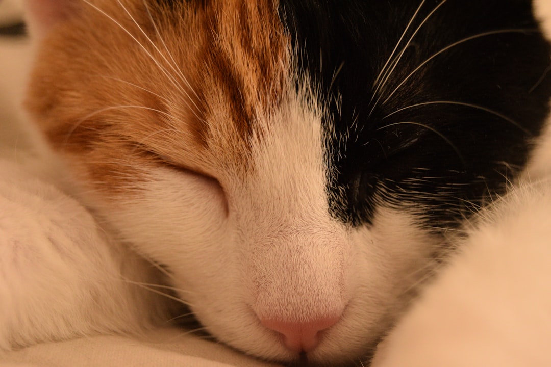 Sleep.