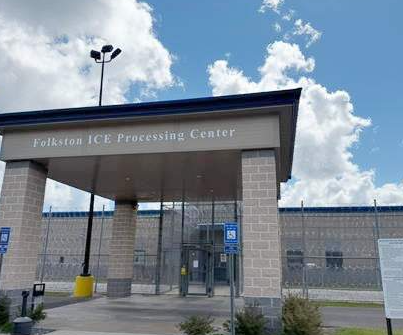 조지아주 현대차-LG엔솔 한국인 구금사태: 현황, 이유, 대응 및 향후 전망