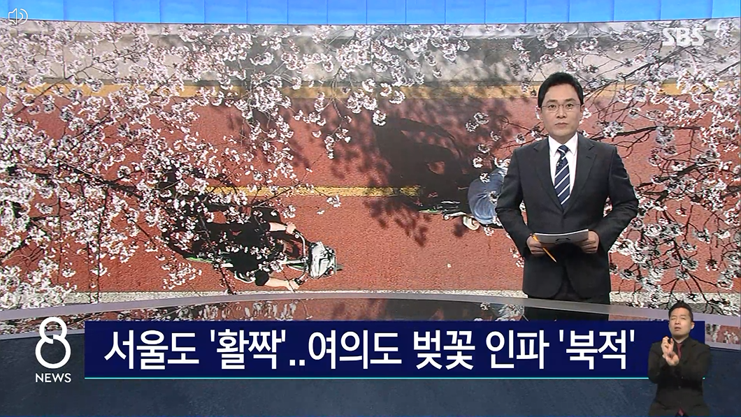 2023.봄꽃놀이.여의도.벚꽃축제.윤중로가는길.일정.총정리