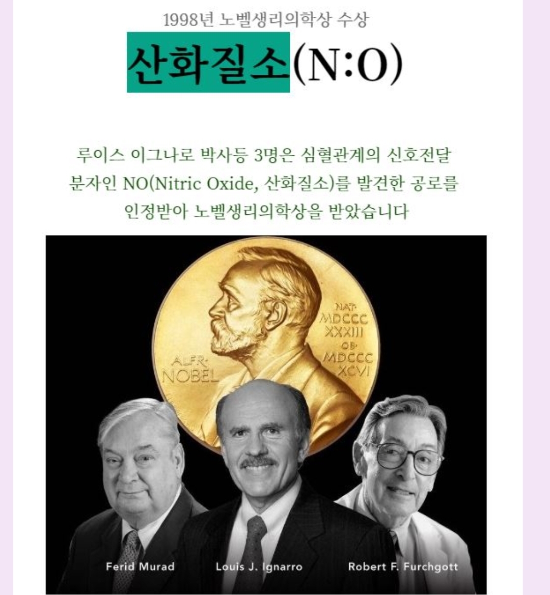 40대 이후 꼭 알아야 할 혈액순환의 핵심 원리(NO)