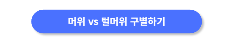 버튼
