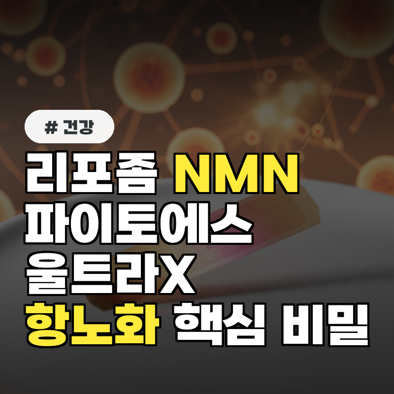 리포좀 NMN 파이토에스 울트라X 항노화 핵심 비밀!
