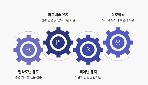 수면 유도 성분과 수면 유지 성분의 최적 복합 활용 팁
