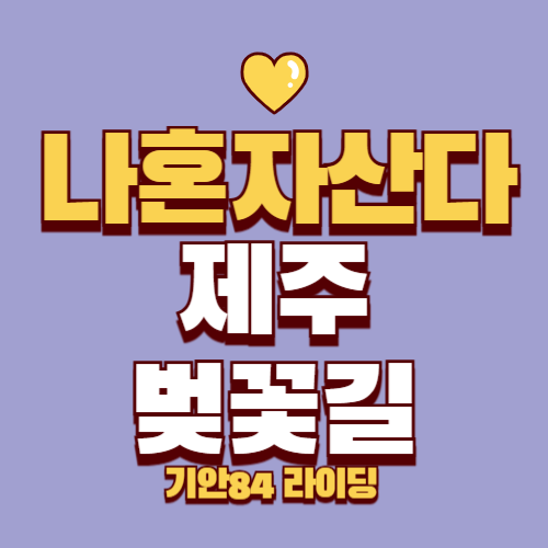 나 혼자 산다 기안84 제주도 벚꽃길 스쿠터 대여