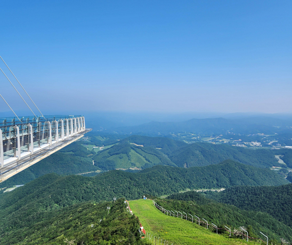 발왕산 케이블카 예약