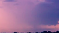 고객번호 조회방법