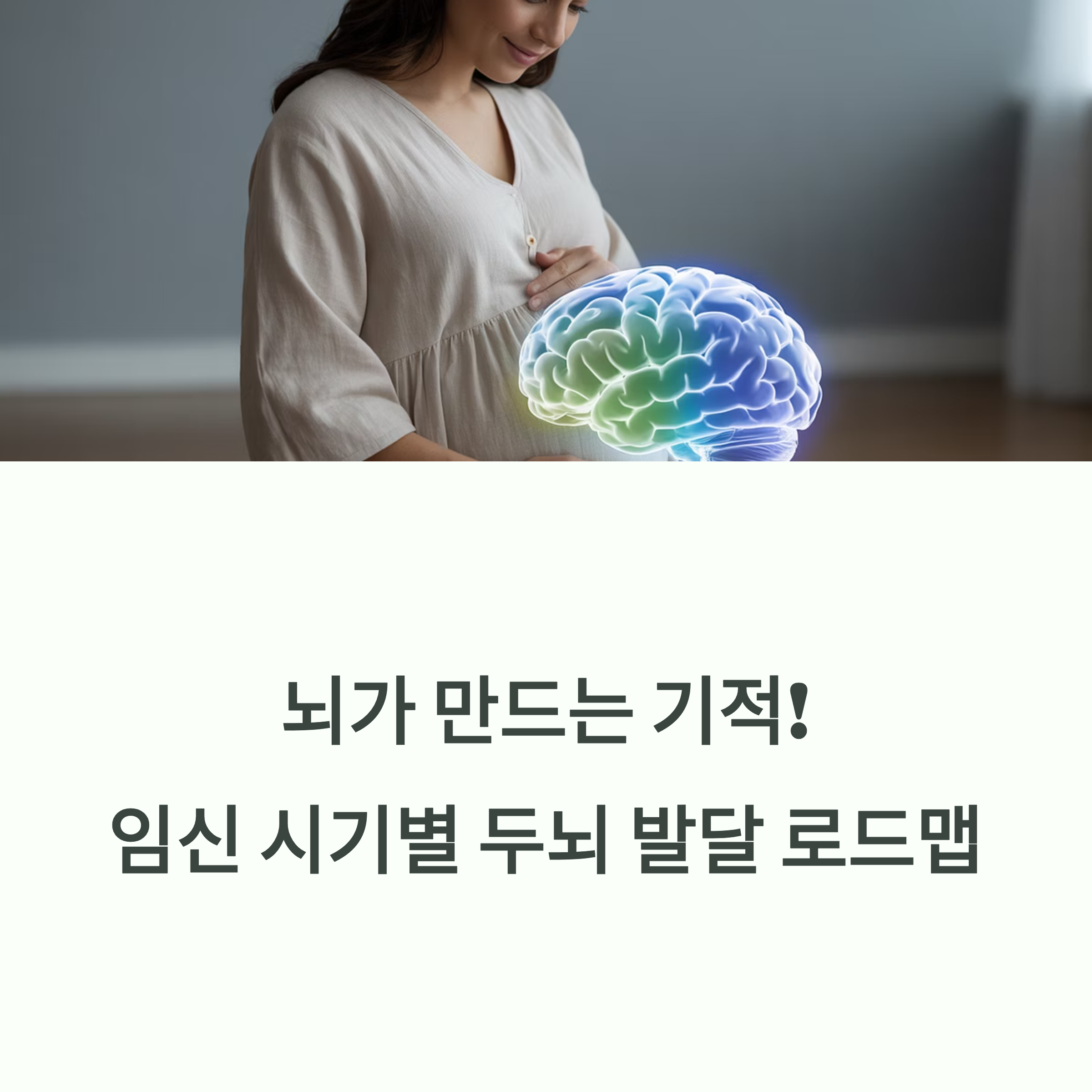 임신부가 배를 감싸고 있으며, 배 위에 빛나는 뇌 이미지가 합성된 장면과 함께 &quot;뇌가 만드는 기적! 임신 시기별 두뇌 발달 로드맵&quot;이라는 문구가 있는 표지 이미지