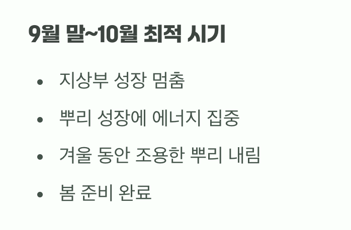 가을, 뿌리가 자라는 시간