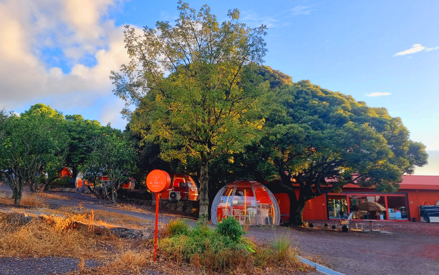 제주도 블로비 포레스트 전경