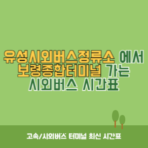 유성시외버스정류소에서 보령종합터미널 가는 시외버스 시간표 최신정보