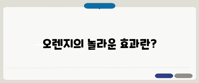 오렌지 효능 하루 한 개가 만든 기적