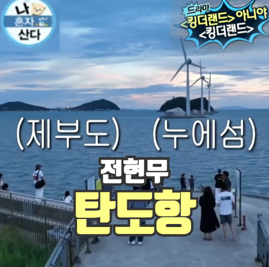 탄도항