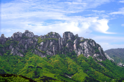 강원도 자연 명소 집중 탐방