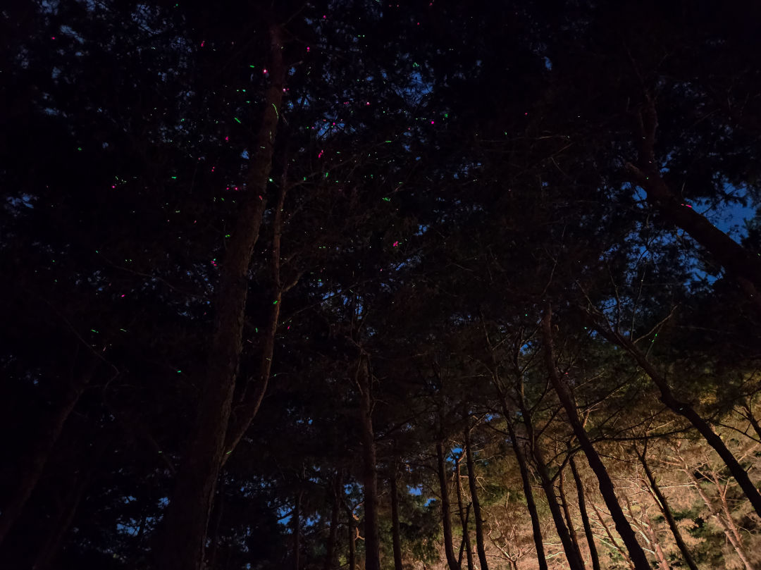 수원 화성행궁 미로한정 올라가는 길