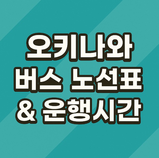 오키나와 버스 노선표와 시간표 안내 썸네일 - 대중교통 이용 가이드용 이미지, 한국어 텍스트 중앙 배치, 1:1 비율