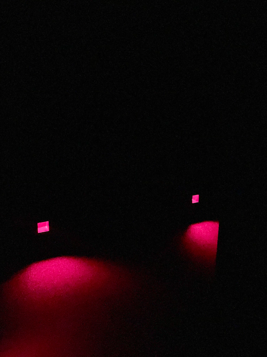 일본 도쿄 팀랩 플래닛 여행-생명은 결정화된 덧없는 빛