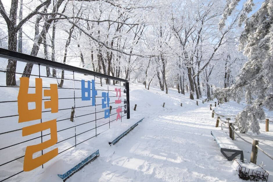 국내 겨울 가족여행지 추천 TOP 7