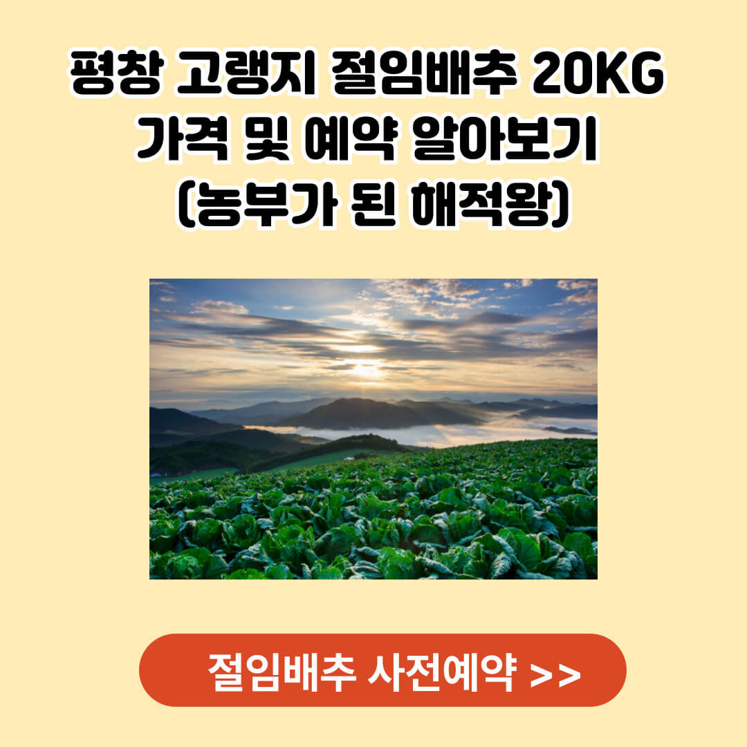 평창 고랭지 절임배추 20KG 사전예약 바로가기