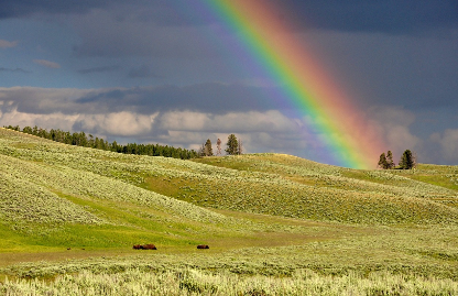 무지개가 생기는 원리 &ndash; 빛의 굴절과 분산