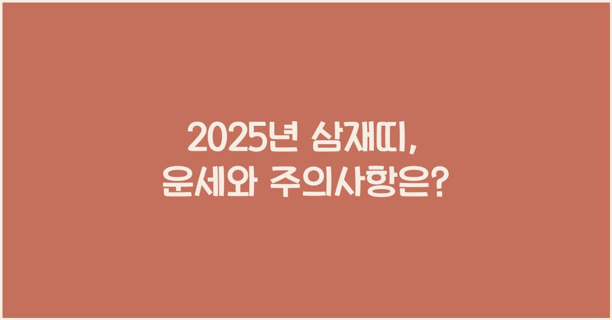 2025년 삼재띠