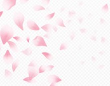 도쿄-벚꽃-개화시기-6