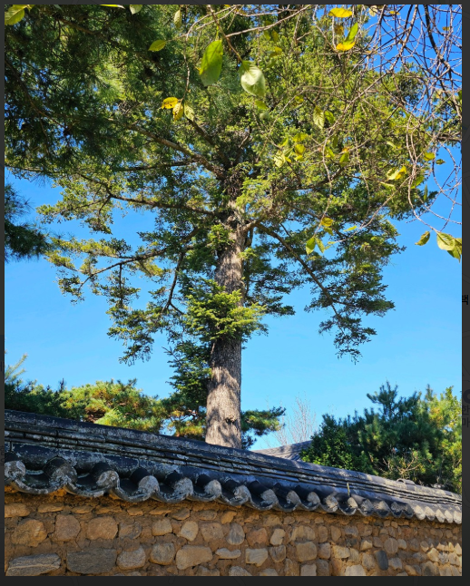 은애하는-도적님아-촬영지-총정리