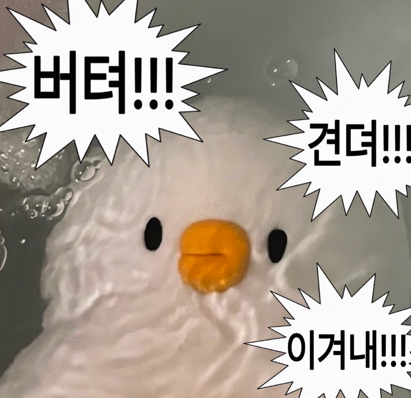 쿠팡 31센터 재고관리 검품 ICQA