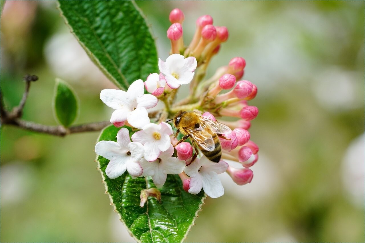 은행 적금 이자 높은곳