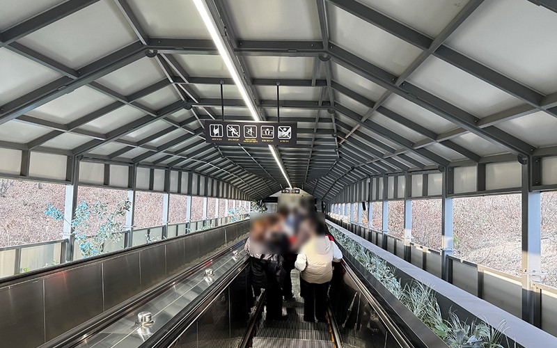 원주 소금산 그랜드밸리 출렁다리 케이블카 요금·코스·주차 완벽 정리 -