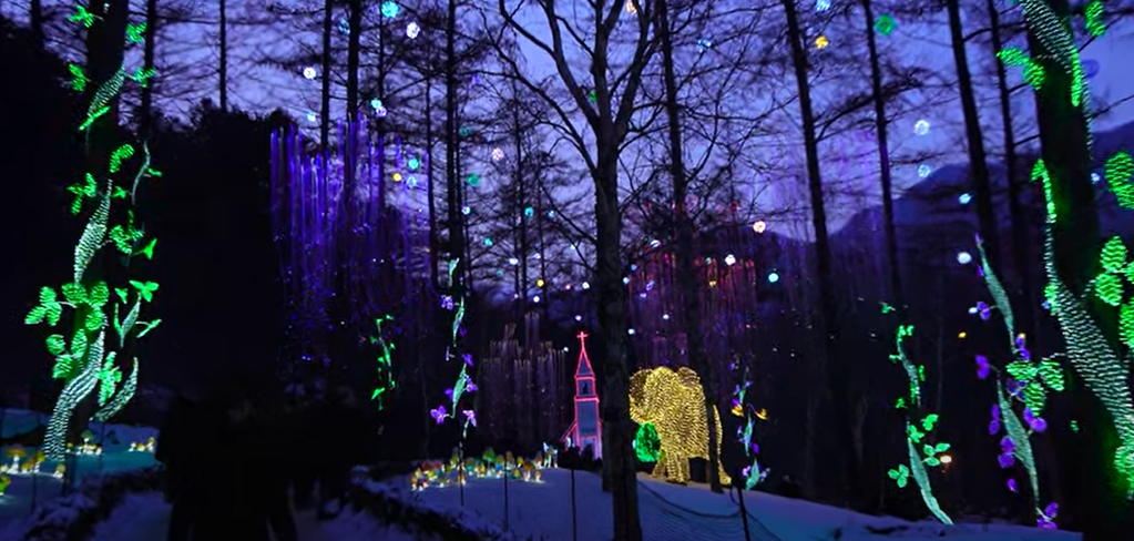 아침고요수목원사진