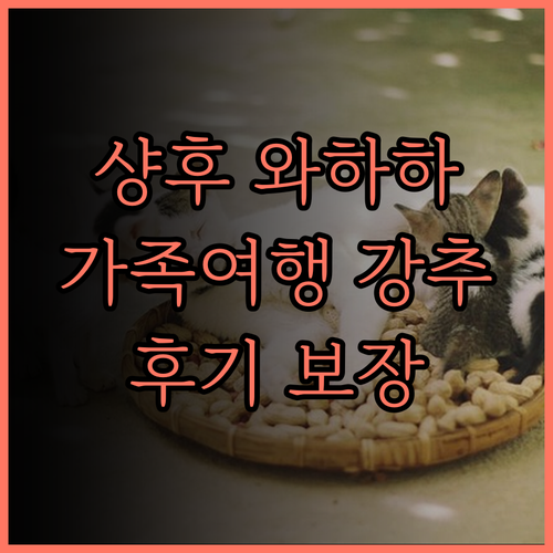 항저우 샹후 와하하 호텔 가족 여행객