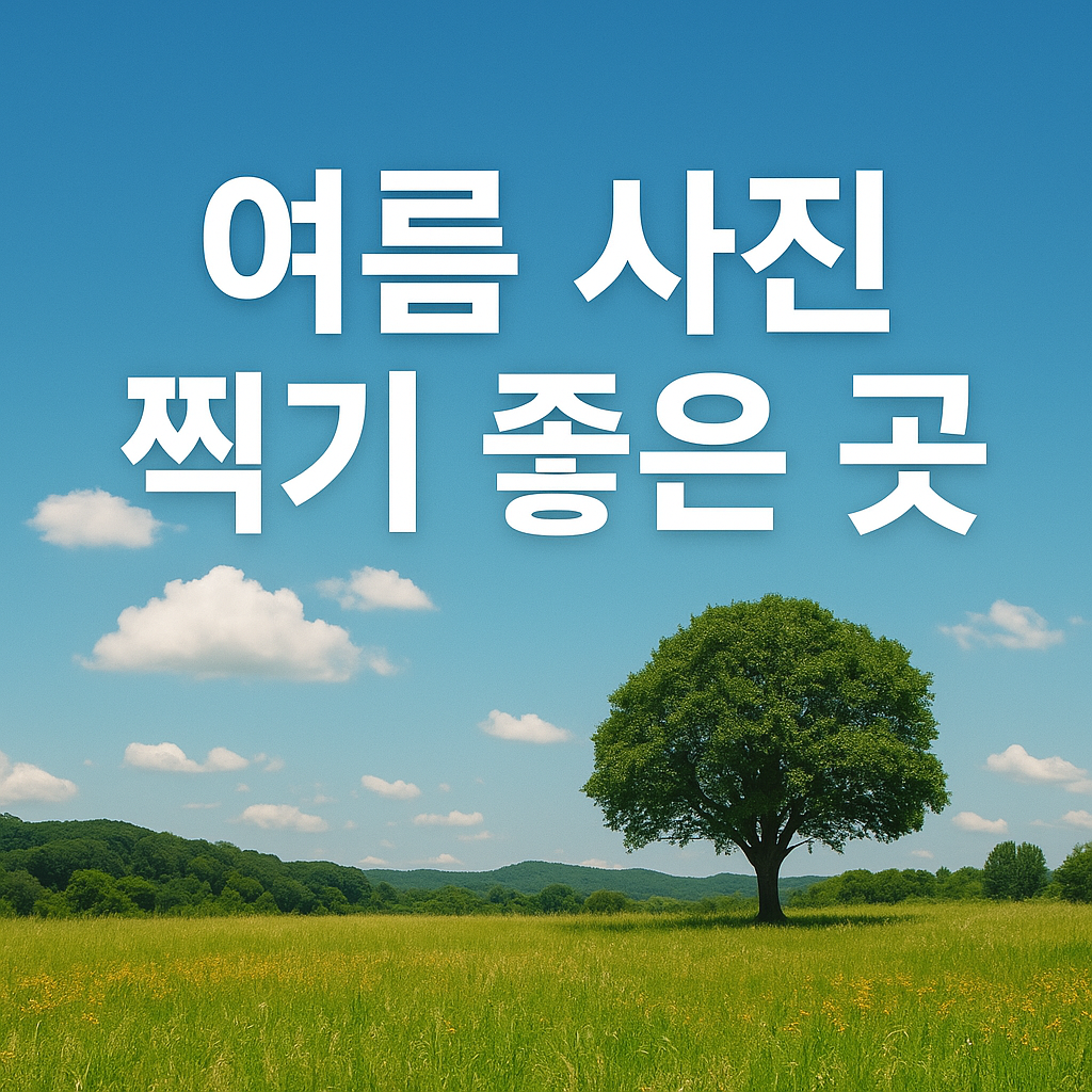 여름 사진 찍기 좋은 곳 추천
