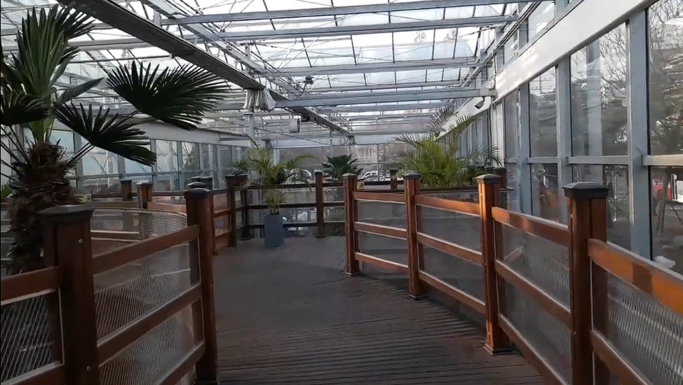 안산 식물원 매화, 카페 정보