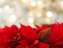 체중 감량에 좋은 단백질 섭취법